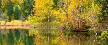 Sonbaharda canlı renkte bir orman ve gölde yansıması.