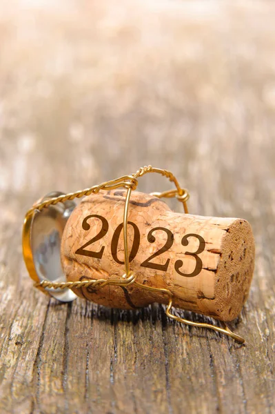 Silvester New Year Eve 2023 — Stock Photo, Image