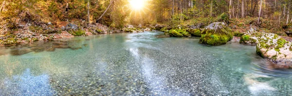 美しい峡谷に澄んだ水を持つ野生の川 — ストック写真