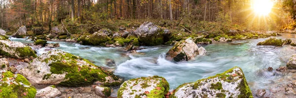 Vild Flod Med Klart Vatten Vacker Ravin — Stockfoto