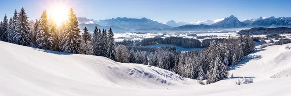 Panoramisch Winterlandschap Met Bergketen Sneeuw — Stockfoto