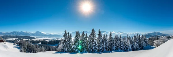 Dağlık Karlı Panoramik Kış Manzarası — Stok fotoğraf
