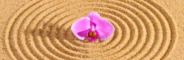 Текстурований Пісок Камінь Японському Саду Дзен — стокове фото