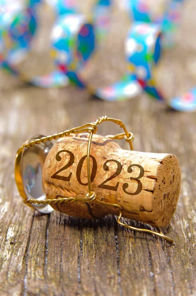 为Silester和2023新年祝福贺卡和最美好的祝愿 — 图库照片