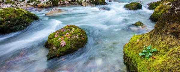 Fiume Selvaggio Con Acqua Limpida Nel Bellissimo Canyon — Foto Stock