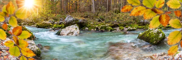 Divoká Řeka Průzračnou Vodou Krásném Kaňonu — Stock fotografie