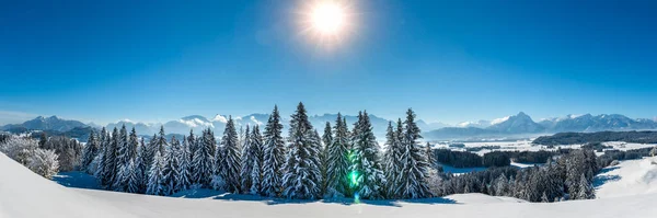 겨울날 의산들로 뒤덮인 — 스톡 사진