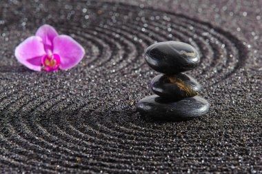 Japon zen bahçesi. Kumda taş var.