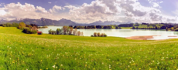 Panorama Panoramico Con Lago Primavera Fronte Alla Catena Montuosa — Foto Stock