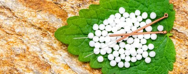 Alternatív Gyógyászat Gyógynövény Tabletták Akupunktúra — Stock Fotó