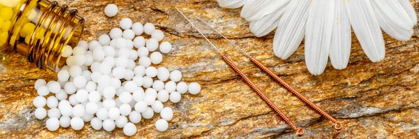 Alternatif Tıp Ile Bitkisel Hapları Akupunktur — Stok fotoğraf