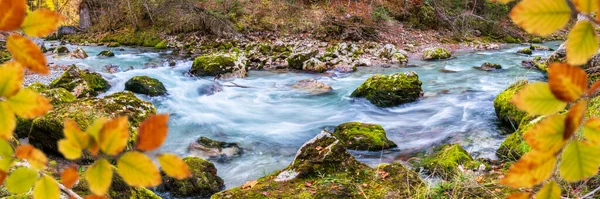 Czysta Alpejska Rzeka Kanionie Jesienią — Zdjęcie stockowe