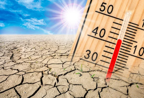 Hohe Temperaturen Und Wassermangel Bei Sommerhitze — Stockfoto