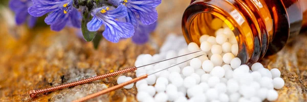 Alternativ Medicin Och Vård Med Växtbaserade Piller Och Akupunktur — Stockfoto