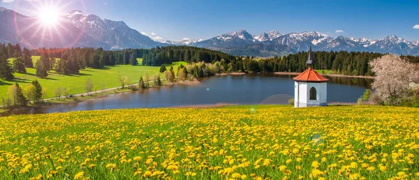 Vista Panoramica Sul Paesaggio Rurale Con Catena Montuosa Prato Primavera — Foto Stock