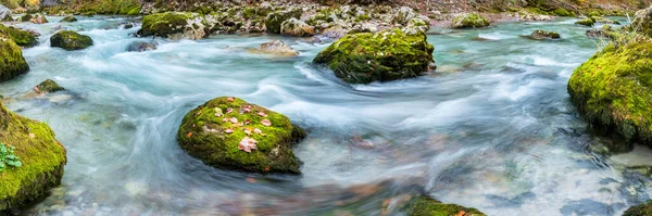 深い峡谷のパノラマの野生の川 — ストック写真