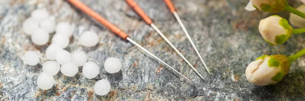 Alternatif Tıp Ile Bitkisel Hapları Akupunktur — Stok fotoğraf