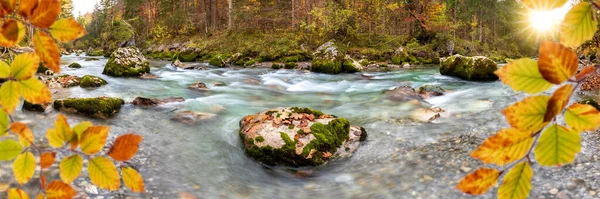 Klar Alpin Flod Ravinen Medan Hösten — Stockfoto