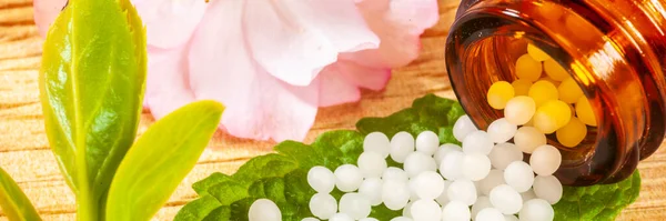 Medicina Alternativa Con Pillole Vegetali Agopuntura — Foto Stock