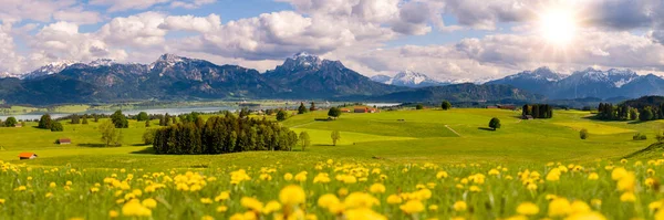 Panoramisch Landschap Met Weide Bergketen — Stockfoto