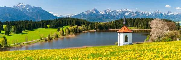 Panoramisch Landschap Met Bloemen Weide Lente — Stockfoto