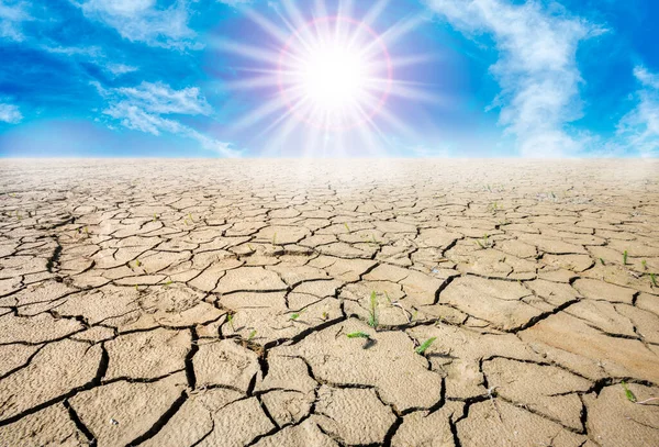 Teploměr Ukazuje Vysokou Teplotu Letním Teple Suchostí Nedostatkem Vody Terénu — Stock fotografie