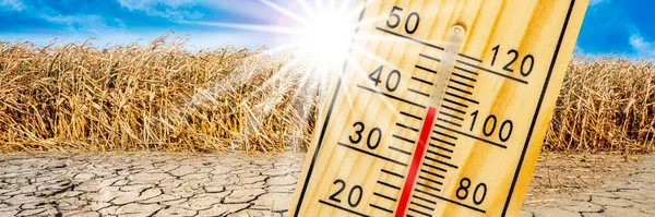 Hőmérő Magas Hőmérsékletet Mutat Nyári Hőségben Szárazsággal Vízhiánnyal Mezőn — Stock Fotó