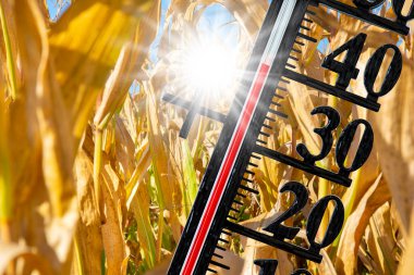  Termometre, yaz sıcağında yüksek sıcaklık, kuraklık ve tarlada su eksikliği gösteriyor.