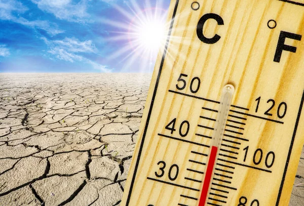 Thermometer Shows High Temperature Summer Heat Dryness Lack Water Field — Stock Photo, Image