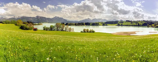 Panoramisch Landschap Natuur Met Meer Forggensee Bergketen Beieren Duitsland Stockfoto