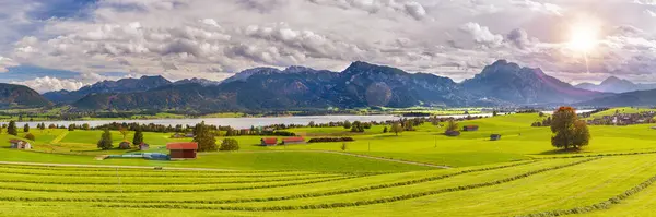 Panoramic Landscape Nature Lake Forggensee Alps Mountain Range Bavaria Germany — Stock Photo, Image