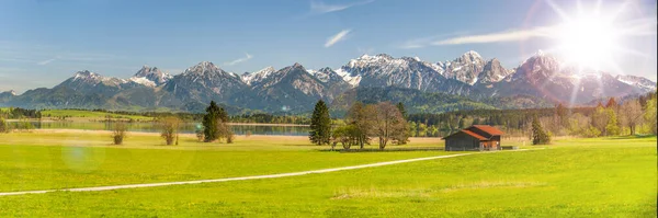 Paisagem Panorâmica Natureza Com Lago Forggensee Cordilheira Dos Alpes Baviera — Fotografia de Stock
