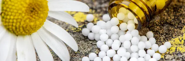 Homeopathische Alternatieve Geneeskunde Met Kruidenpillen Stockfoto