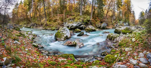 Panoramiczne Zdjęcie Dzikiej Rzeki Loisach Bawarii Obrazek Stockowy