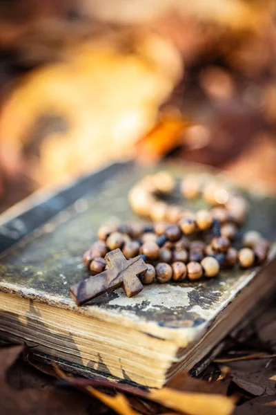 木のバラのビーズや秋の葉に横たわる聖書 — ストック写真