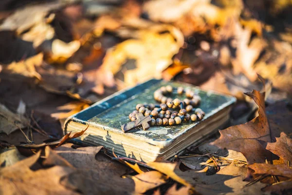Drewniane Różańce Święta Księga Biblijna Leżące Jesiennych Liściach — Zdjęcie stockowe