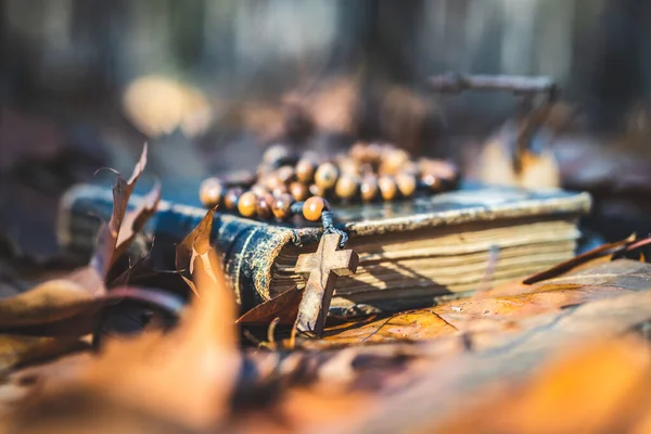 秋天树叶上躺着的木制念珠和圣经 — 图库照片
