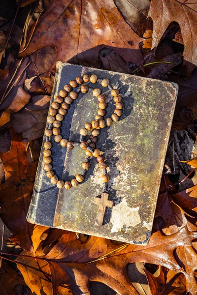 Auf Den Herbstblättern Liegen Hölzerne Rosenkranzperlen Und Ein Bibelbuch Ansicht — Stockfoto