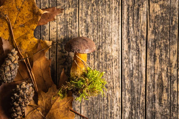 Jesienny Borowik Grzybowy Drewnianym Stole Widok Góry — Zdjęcie stockowe