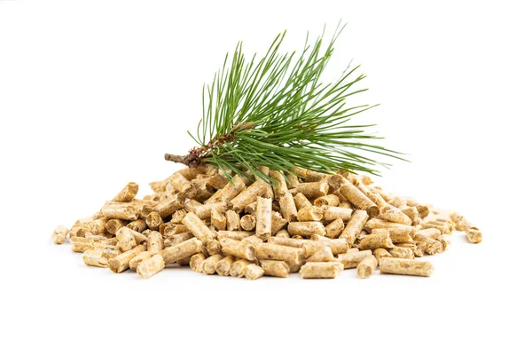 Wooden Pellets Pine Branch Isolated White Background — Stock Photo, Image