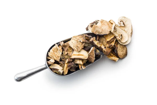 在白色背景下 将各种切碎的干蘑菇放在勺子里 — 图库照片