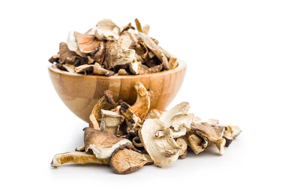 Various Sliced Dried Mushrooms Bowl Isolated White Background — Stock Photo, Image