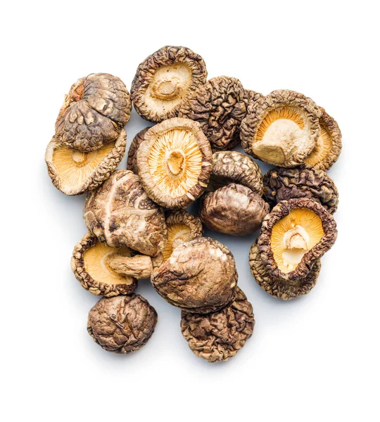 Dried Shiitake Mushrooms Isolated White Background — Stock Photo, Image