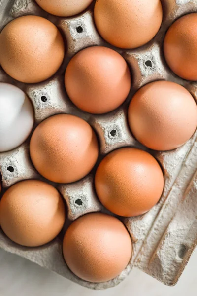 Whole Chicken Eggs Eggbox Top View — Stock Photo, Image