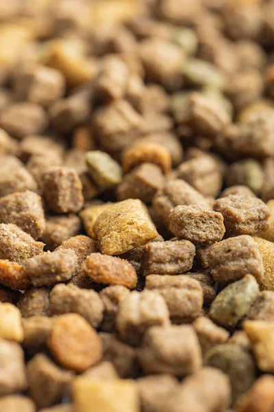 Dry Kibble Pet Food Dog Cat Food — Stock Photo, Image