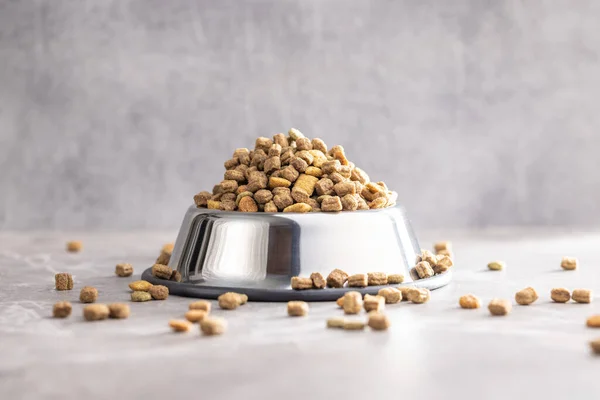 Comida Seca Para Animais Estimação Comida Cão Gato Tigela Mesa — Fotografia de Stock