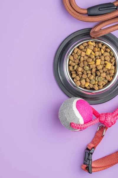 紫のテーブルの上に犬の鉛 おもちゃ 乾燥食品 トップ表示 — ストック写真