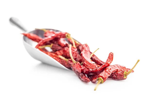 Červené Chilli Papričky Lopatce Izolované Bílém Pozadí — Stock fotografie
