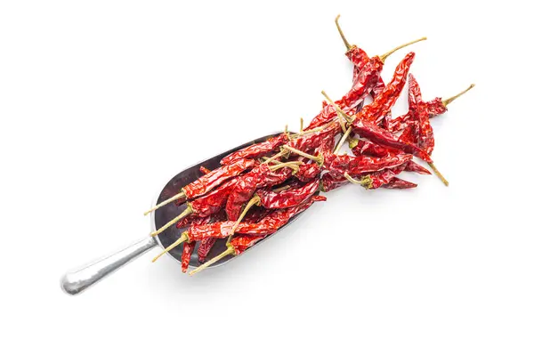 Červené Chilli Papričky Lopatce Izolované Bílém Pozadí — Stock fotografie