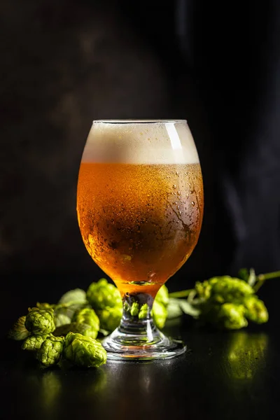 Glas Bier Und Hopfen Auf Schwarzem Tisch — Stockfoto